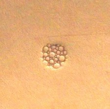 Hide Crafters Pro Leather Matting Stamp PA004 5/16" 8 mm 