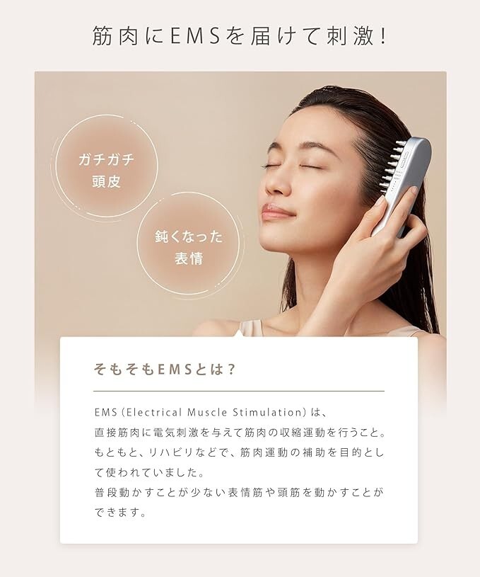 SALONIA EMSリフトブラシ SAL22206SL サロニア EMSリフトブラシ ［EMS美顔器 /国内・海外対応
