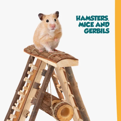Wooden Hamster Playground Climbing Wall House Toy Small Animal Gerbil Mouse Rat - Picture 12 of 13