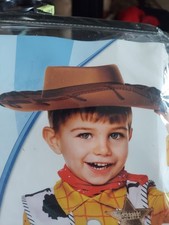 Toy Story WOODY Hat Spirit Halloween