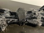 Target "Hide and EEK!" Large 18" Pose-able Foam Black Fluffy Halloween Spider — photo 4
