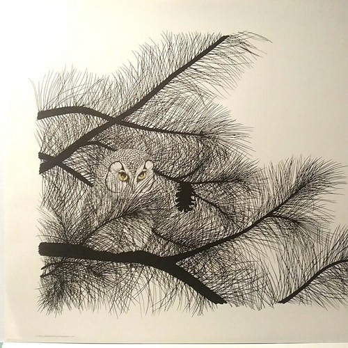 PARNALL, RICHARDSON'S OWL, S/N LTD. ED. #1204 1972 22x17" NEW MINT, w/CAT,SLEEVE - Picture 5 of 12