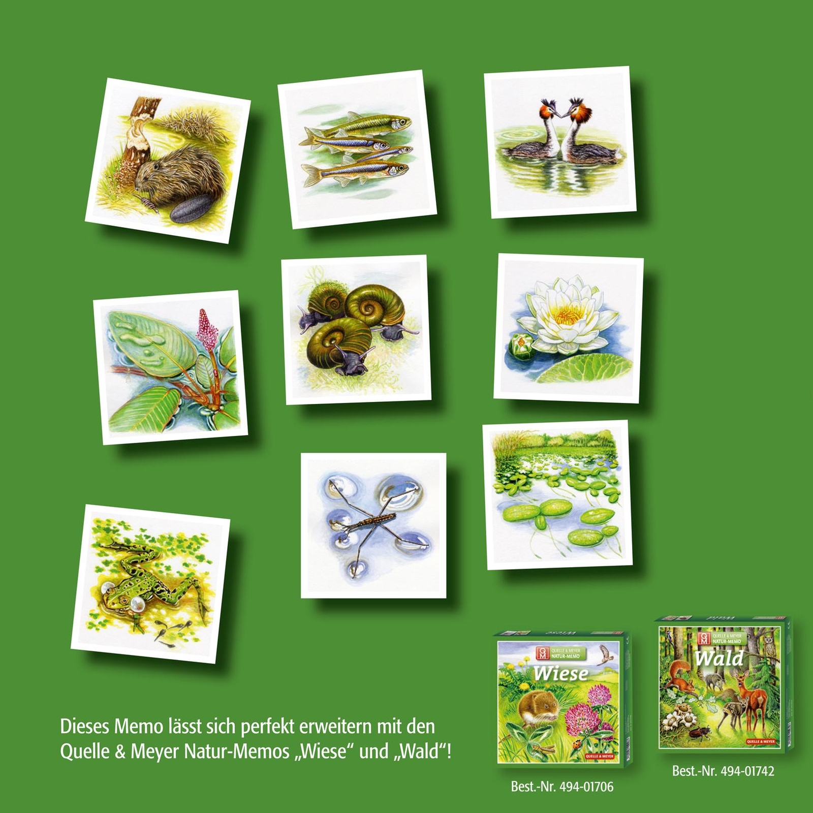 Thumbnail - Natur-memo ""tümpel, Teiche, Seen"" Quelle & Meyer Verlag Gmbh