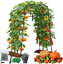 Rustproof Garden Arch Trellis for Climbing Plants - 83" H x 57" L Support