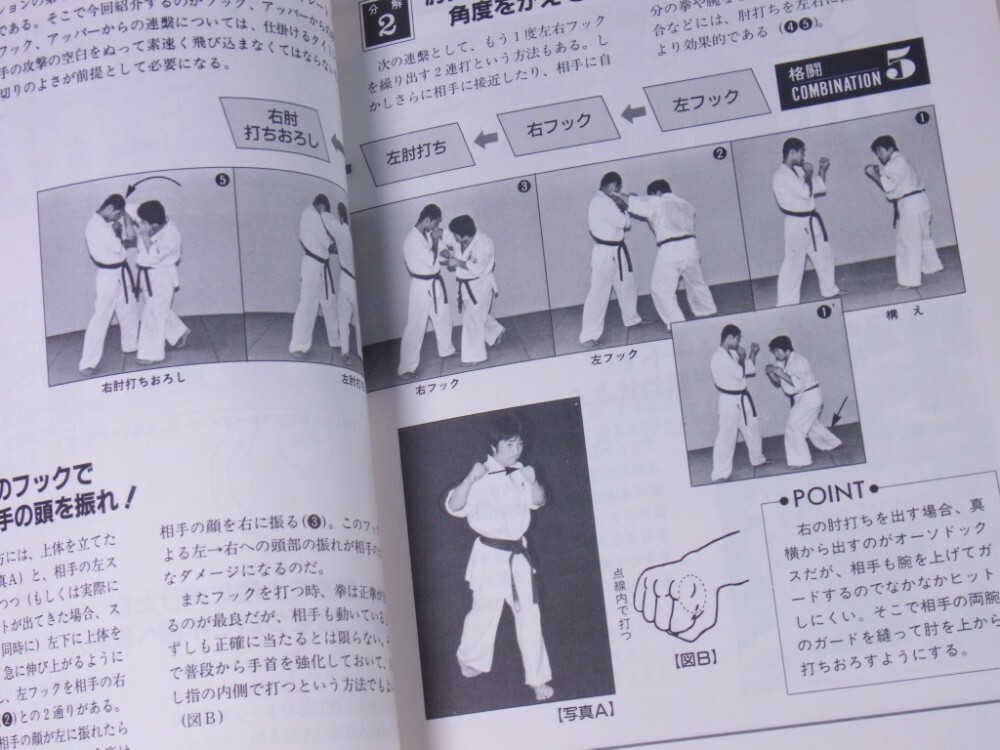 Daido Juku Karate Martial Arts book Takashi Azuma Kudo Daidojuku MMA