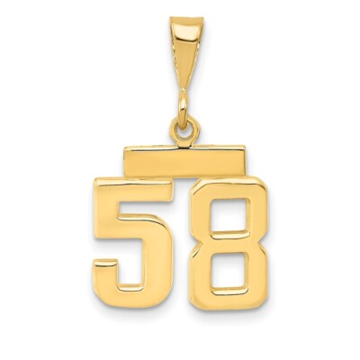 14K Yellow Gold Small Polished Number 58 Charm SP58