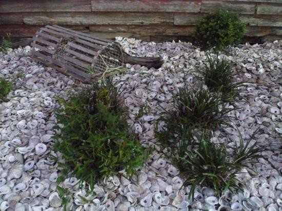 Oyster Shells for Landscaping and Concrete 