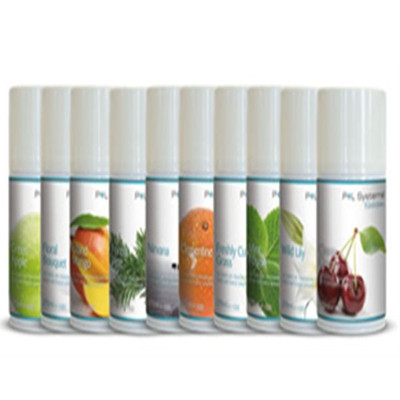 P+L Fragrances 12er Kiste Classic Range 270ml 