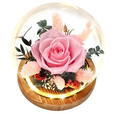 Preserved Roses Fresh Flowers Bouquet Gift for Women, Roses that Last