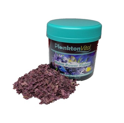 Dulse Power Flakes Lappentang Flocken Seaweed Algenfutter Meerwasser Fischfut...