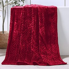 Flannel Fleece Throw Blanket for Couch, Soft Fluffy Velvet Throw 50"x60" Red
