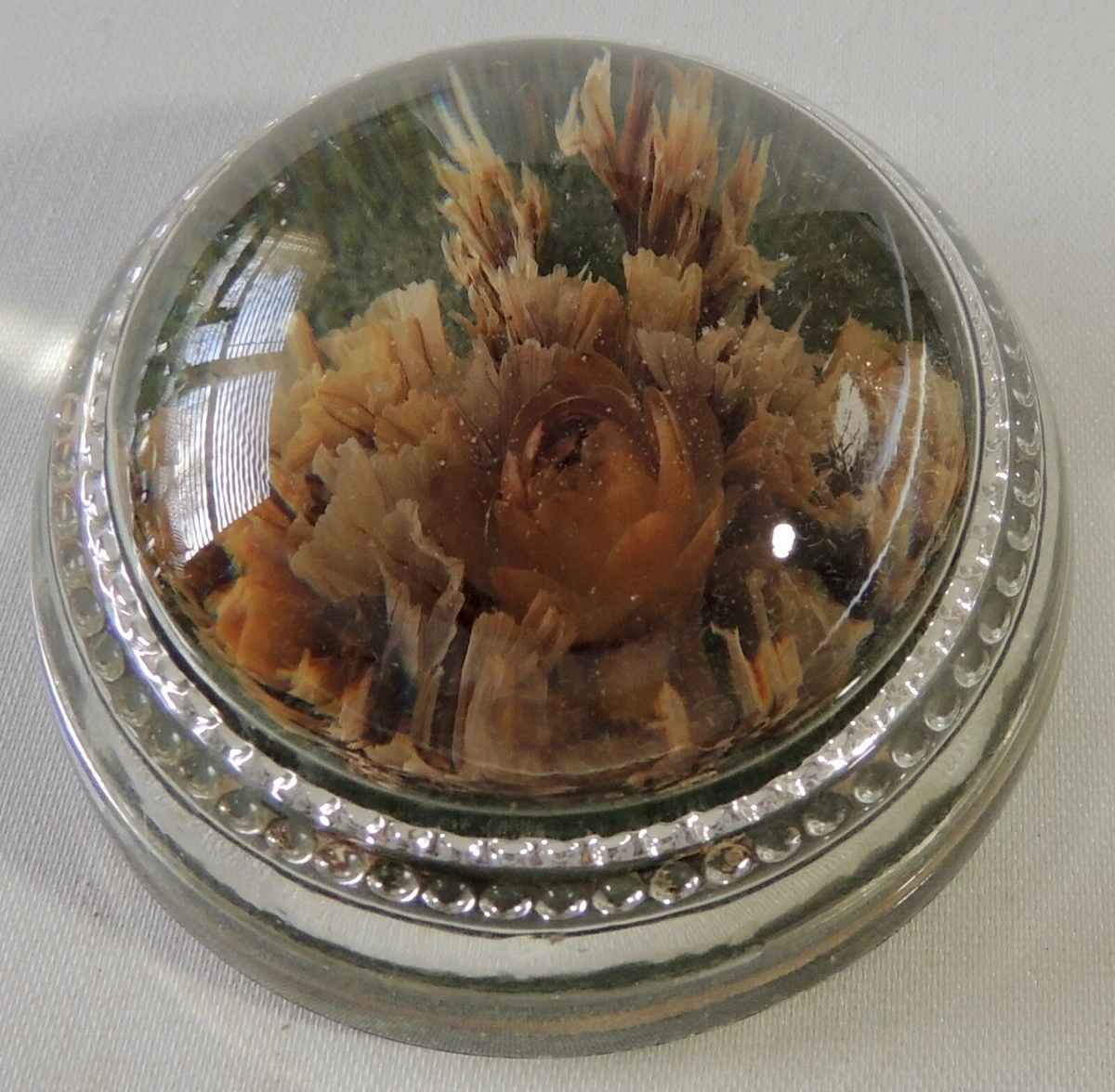Dried Flower Paperweight Best Flower Site