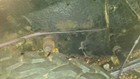 Picture 8 of 8