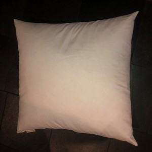 pottery barn down pillow