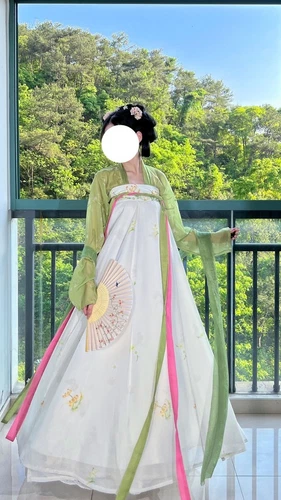 Ancient Traditional Dress Original Hanfu Chinese Tang Dynasty Costumes Fairy - Picture 12 of 24