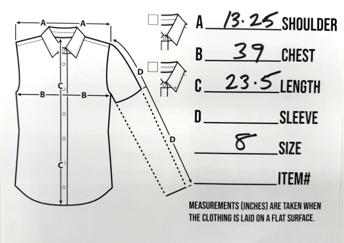 Spring 2011 Anna Sui Sheer SILK Cap Sleeve Blouse Size 8, Metallic Paisley NWT