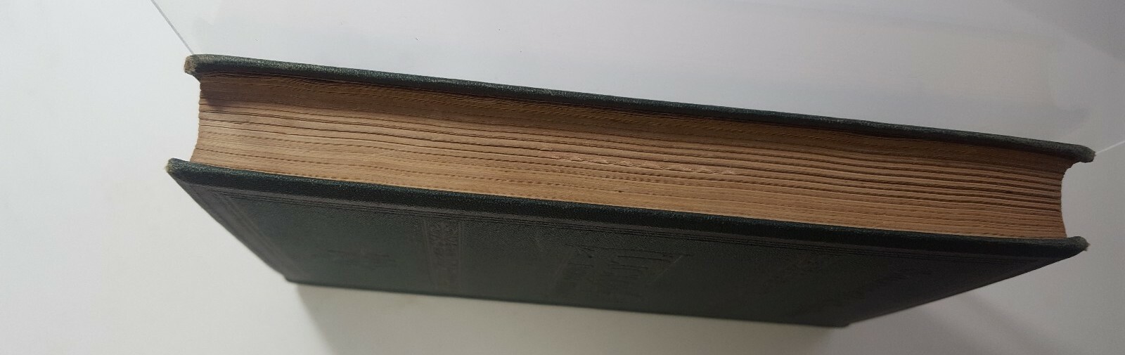 Picture 4 of 8