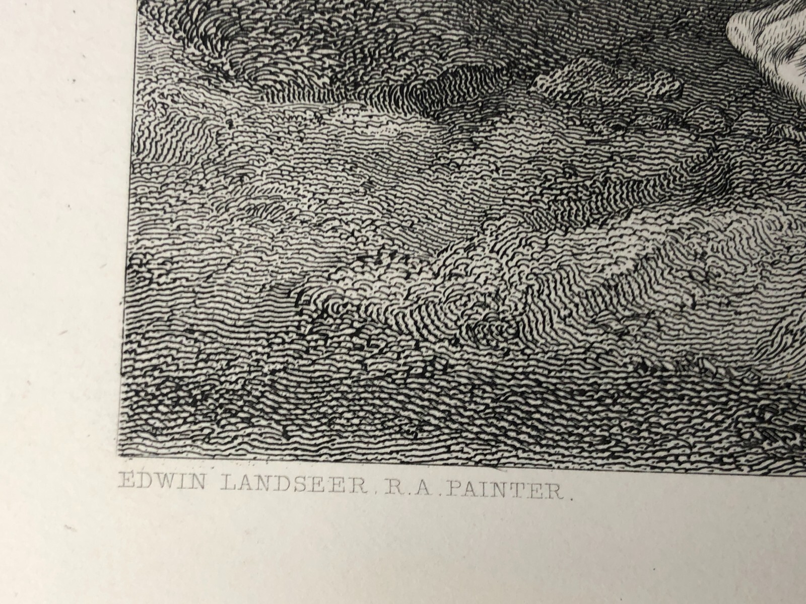 Picture 6 of 10