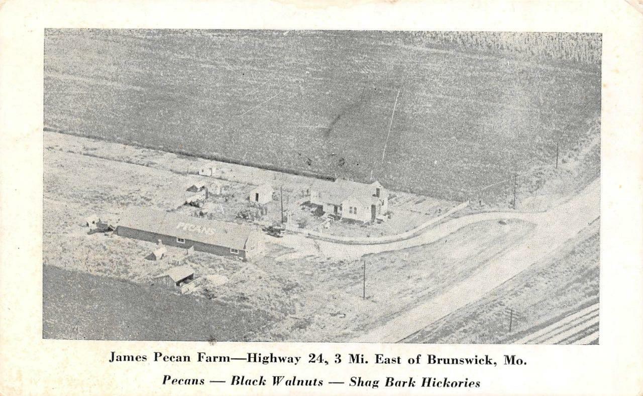 BRUNSWICK, Missouri MO JAMES PECAN FARMHighway 24 ROADSIDE Blank Back