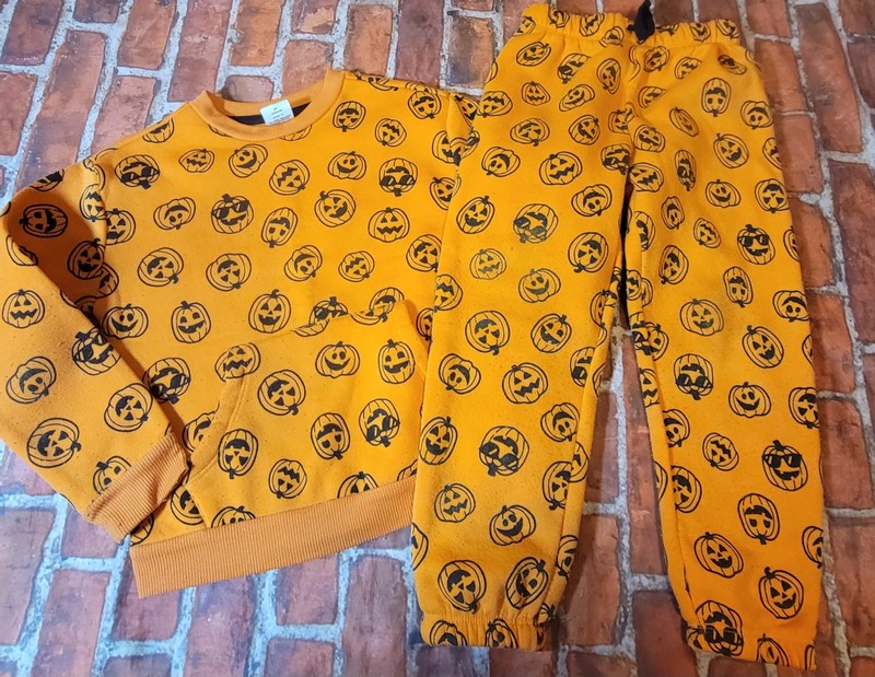 Celebrate Halloween Pumpkin Sweatshirt & Sweatpants Sz 5t Play For Washwear