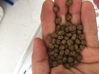 BEST Koi Chiclid Goldfish Fish Food Floating Pond Pellets Medium or Lrg *CHOOSE*