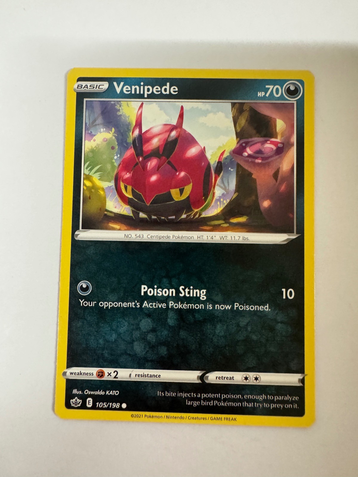 Venipede 105/198 Common Chilling Reign Pokemon Near Mint