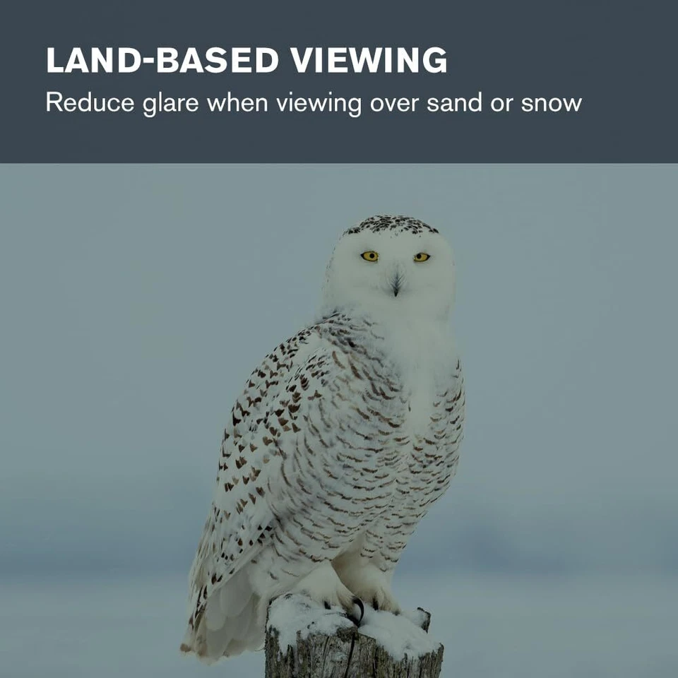 Celestron 1.25 Inch Moon Filter Reduce Glare Enhance Contrast Astronomy Tools - Image 3 of 4