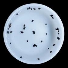 50+ Live Bladder snails(Physella acuta)-Feeders-Nutritious Live Food-Puffer food