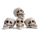 4 Pcs Human Life Size Skeleton Skull Halloween Moving Jaw Decorations — photo 3