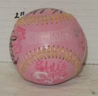 Signed Autographed Charlotte Stone Crabs Baseball Unknown Signatures FSL #2