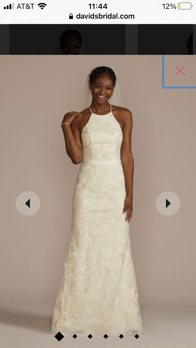 wedding dresses /Bridal dress （David’s Bridal) Gem