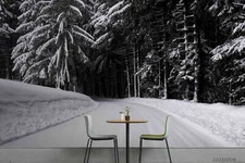 3D Forest Road Snow Self-adhesive Removeable Wallpaper Wall Mural1