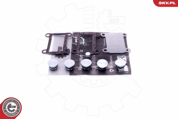Esen SKV Reparatursatz Saugrohrmodul FüR Alfa Romeo 159 Sportwagon Spider 939-image