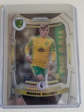 Brandon Williams 2021-22 Panini Prizm Premier League Soccer
