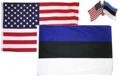  Wholesale Combo USA & Estonia Country 2x3 2'x3' Flag & Friendship Lapel Pin