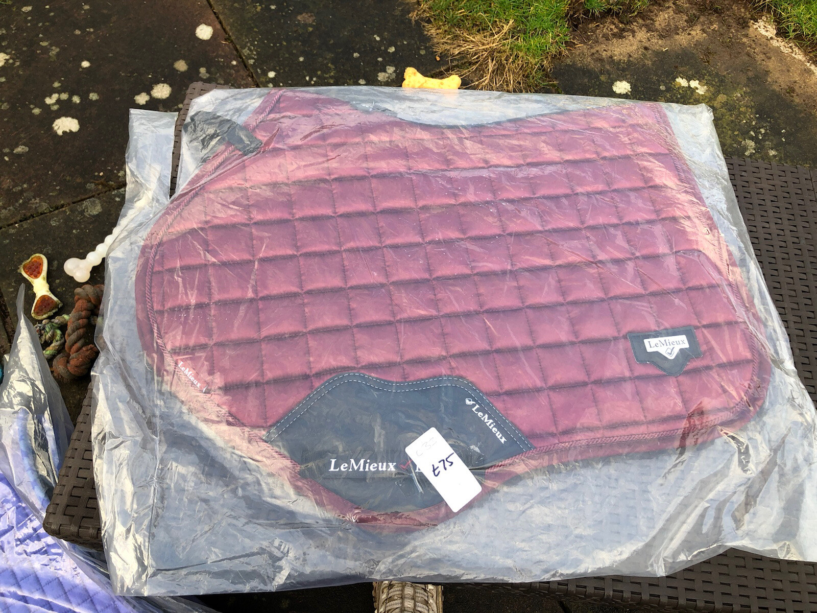 Rioja large LOIRE CC BNWT Le Mieux Saddle Cloth Numnah Matchy Matchy eBay