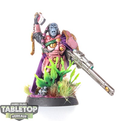 Tau Empire - Cadre Fireblade - bemalt