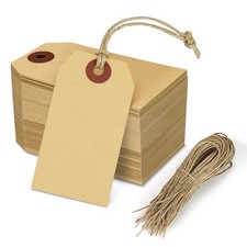 100pcs Kraft Paper Small Hang Tags Blank Price Tags for Inventory Labeling NEW