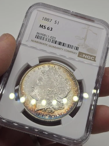 1887 Morgan Silver Dollar NGC MS63 -69- ☆ BLUE TONED OBVERSE AND REVERSE