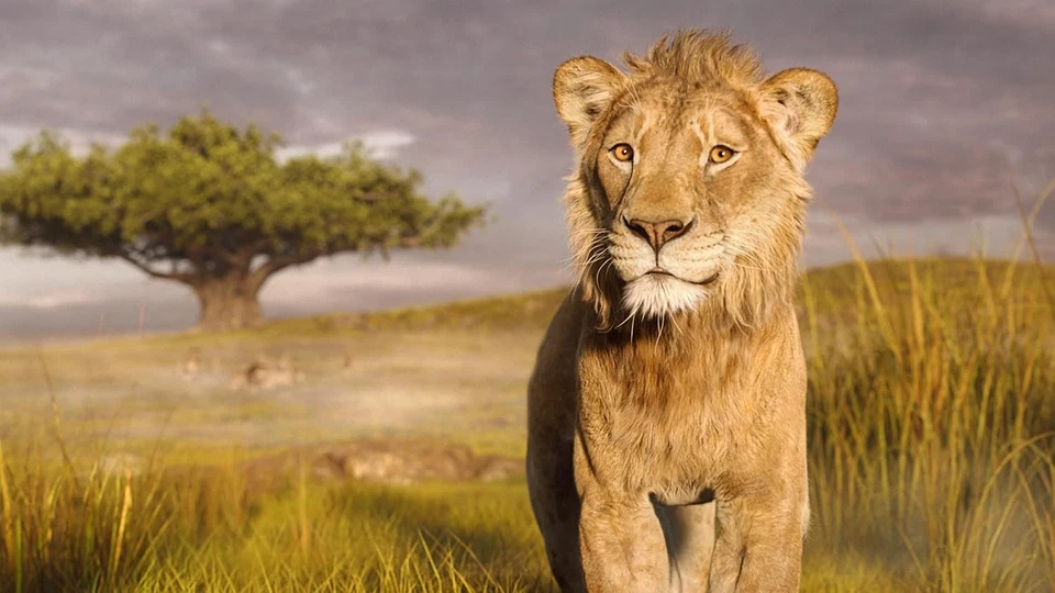 Mufasa: The Lion King (Blu-ray + DVD + Digital) New - Image 4 of 4