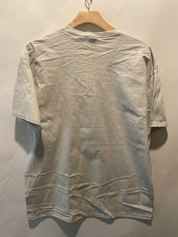 LOT OF 50 FRUIT OF THE LOOM HD COTTON RN 13765 SIZE L LIGHT GREY T