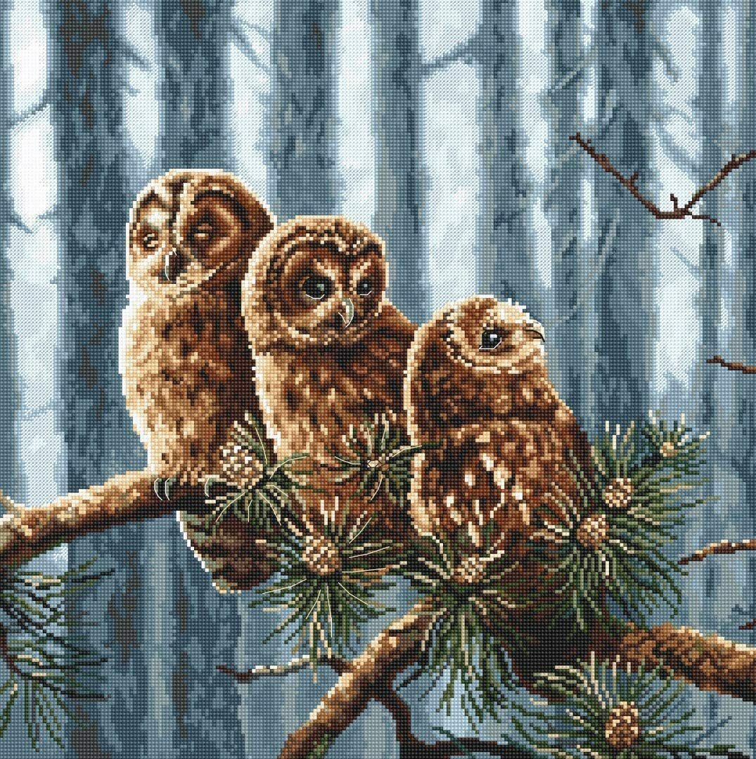 Letistitch Cross Stitch Kit - Owls Family Leti 946