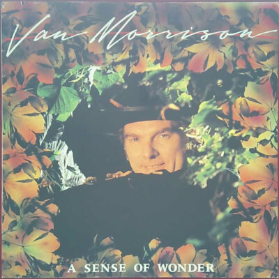 Van Morrison   A Sense Of Wonder - Mercury Records - Deutschland - 1984
