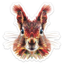 Triangulated Squirrel Car Bumper Sticker Vinyl Decal