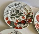 ROSANNA Obst Dessert Teller Made In Italy 8" Sammlerstück Keramik 8er Set