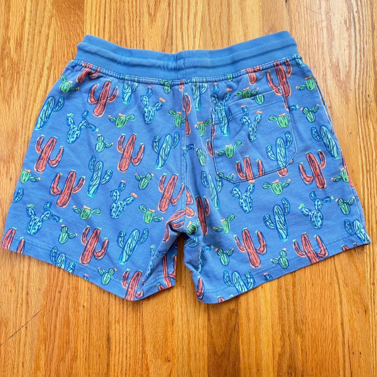 CHUBBIES Blue Red Green Cactus Lounge Shorts Mens Size Medium