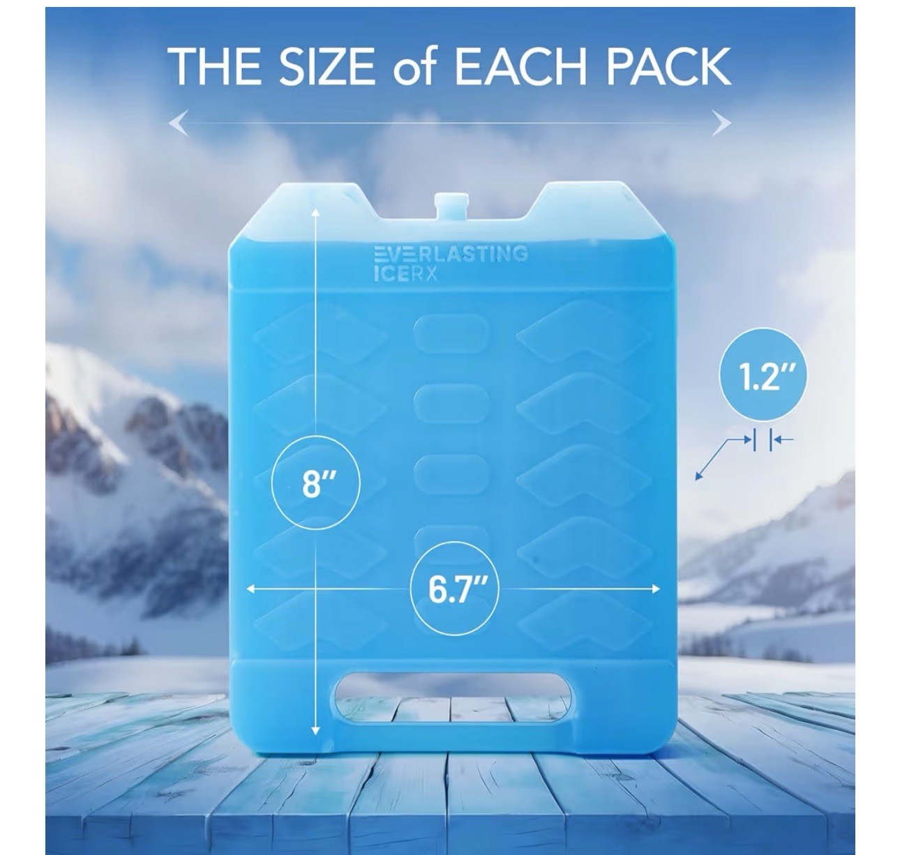 Everlasting Ice RX Large Reusable Ice Packs for Cooler with Handle 2 Pack