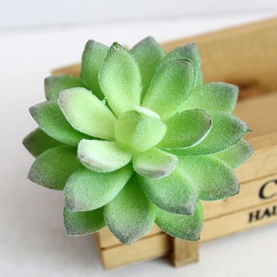 Laub Pflanzen Startseite Blume Echeveria Faux Floral Garten Künstliche