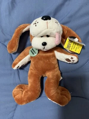 gumtree basset hound