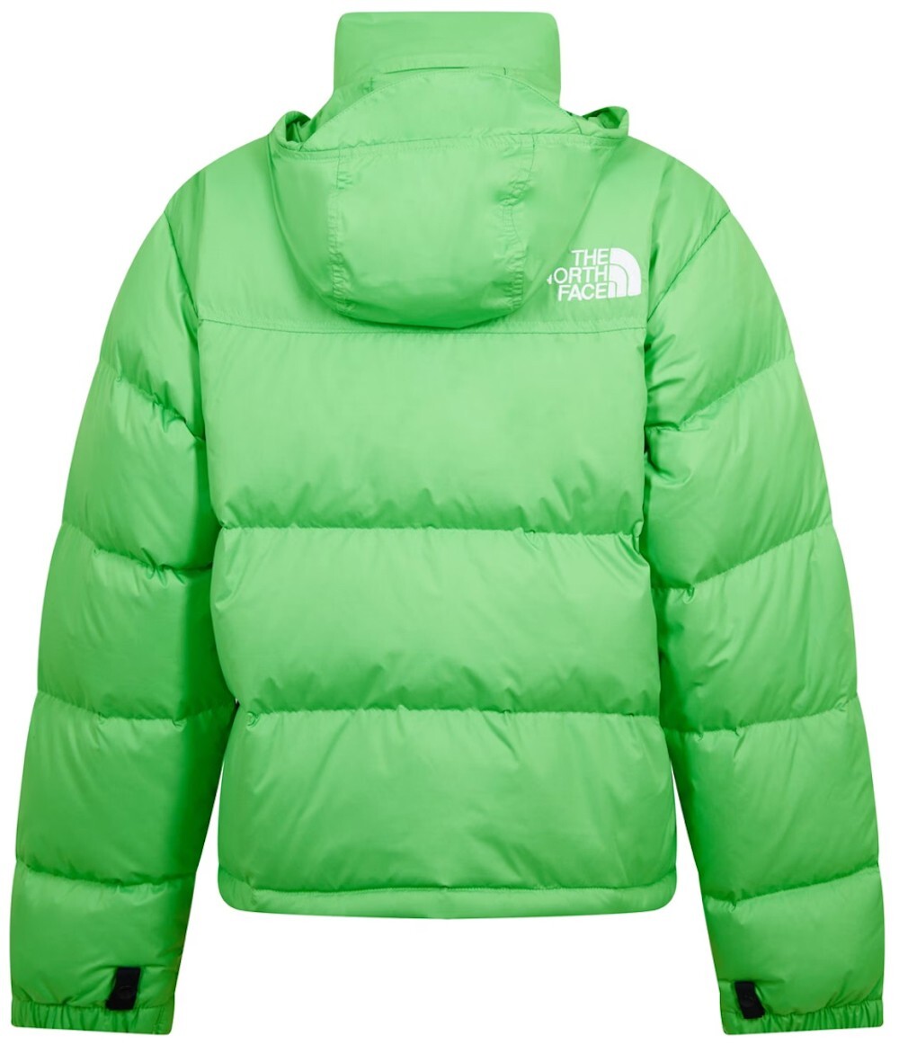THE NORTH FACE 1996 RETRO NUPTSE CLOROPHYLL MEN PUFFER DOWN